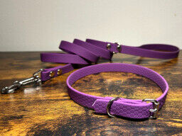 Set pro štěně BASIC